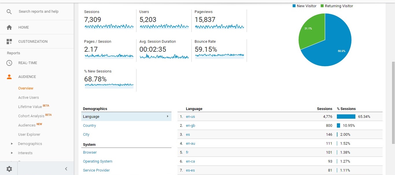 Visitor Analysis Report